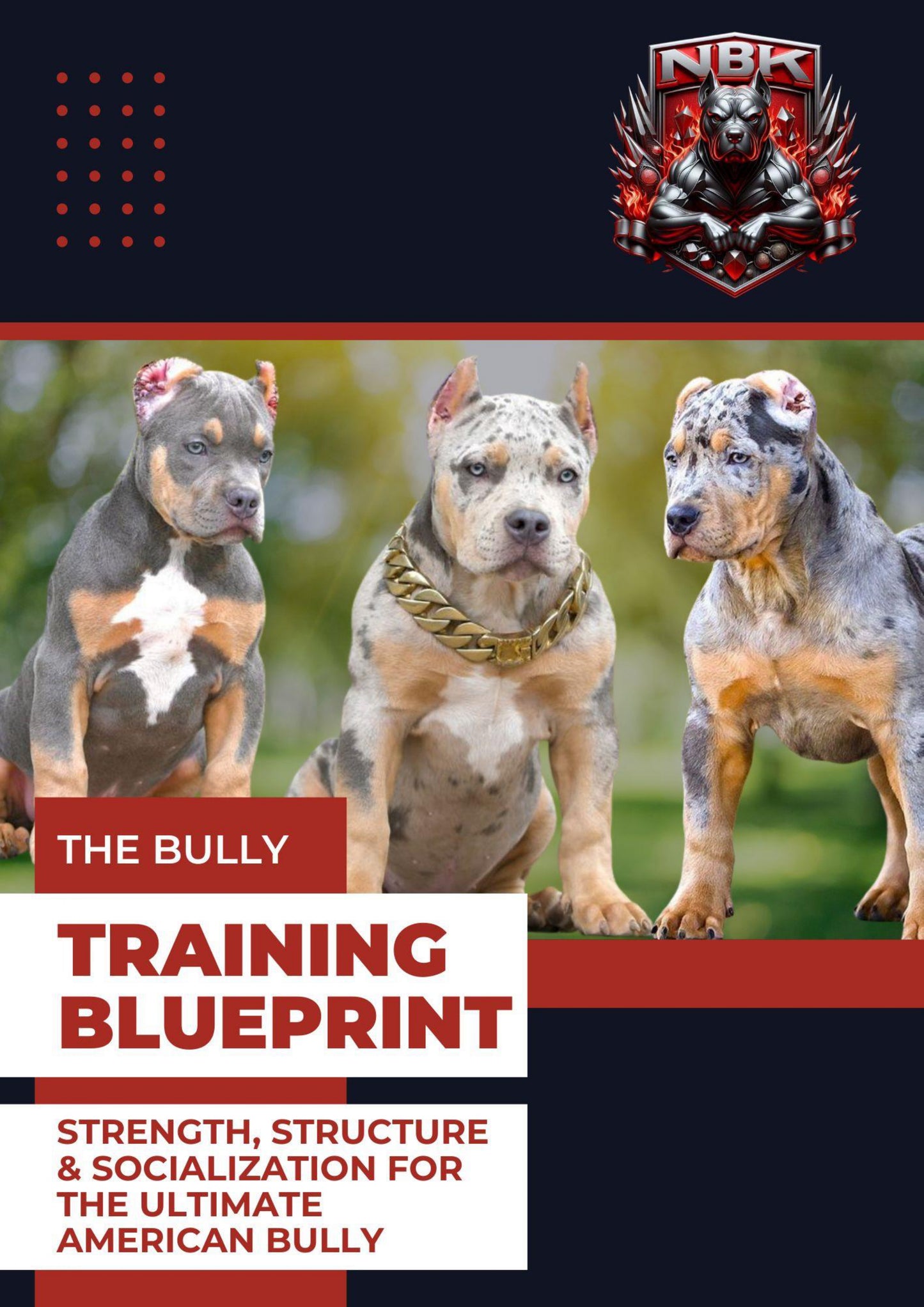 Bully Training Blueprint PDF guide cover — American Bully training and exercise
