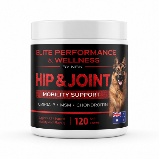 Hip & Joint dog supplement soft chew container front view