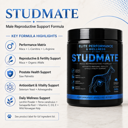 Studmate - Male Reproductive Formula