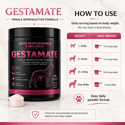 Gestamate - Female Reproductive Formula