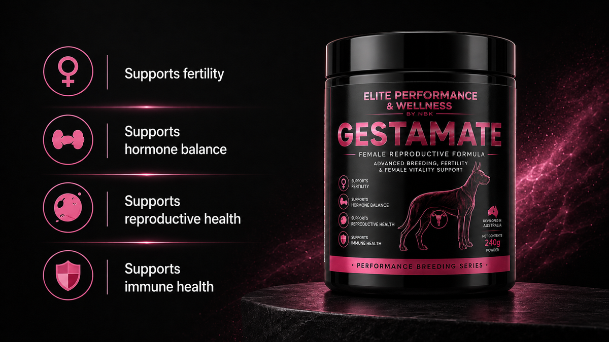 Gestamate - Female Reproductive Formula