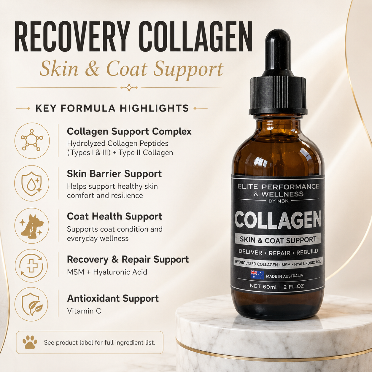 Senior dog with improved mobility and coat health from collagen supplement