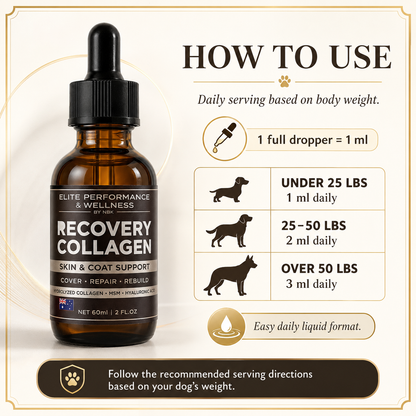 Liquid collagen dropper being added to dog food bowl
