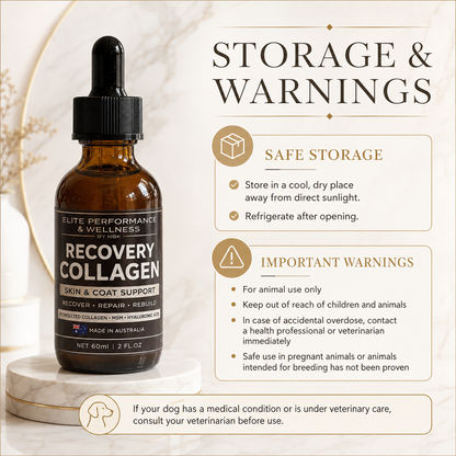 Recovery Collagen skin and coat supplement for dogs all breeds