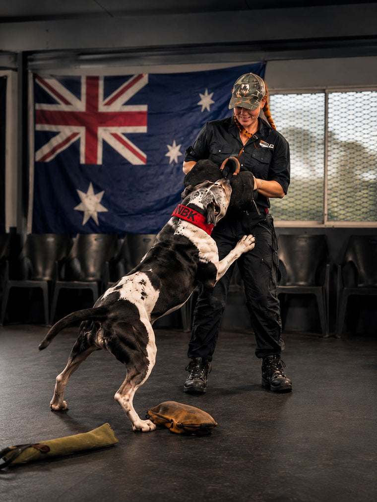 Elite Performance & Wellness — premium dog supplements made by breeders for all breeds